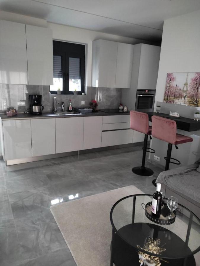 Olina'S Luxury Apartment Tríkala エクステリア 写真